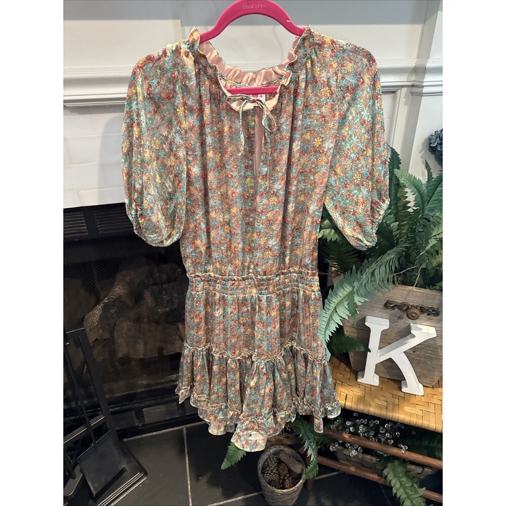 Buddy Love Floral Ruffled Elastic Waist Sheer Shiny Mini Dress Small